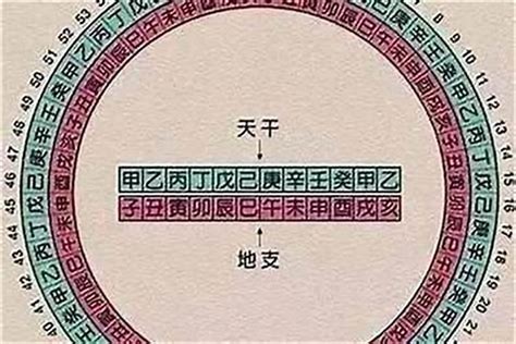 八字代表|八字